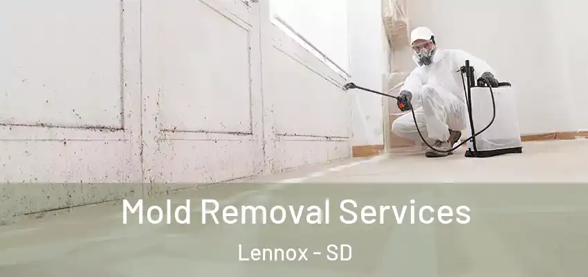 Mold Removal Services Lennox - SD