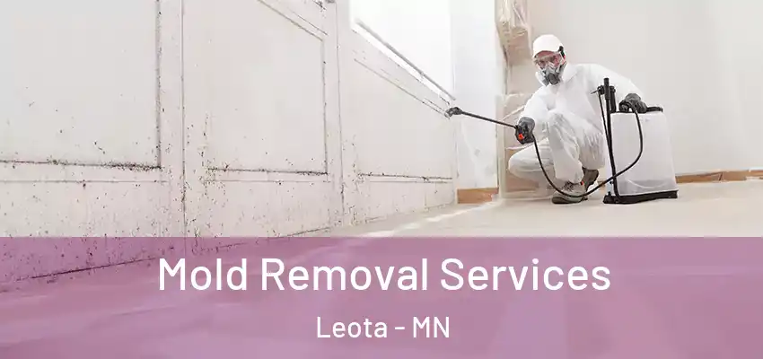 Mold Removal Services Leota - MN