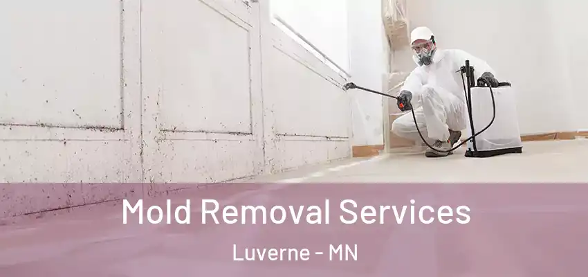 Mold Removal Services Luverne - MN