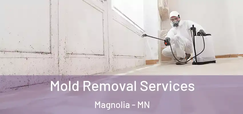  Mold Removal Services Magnolia - MN
