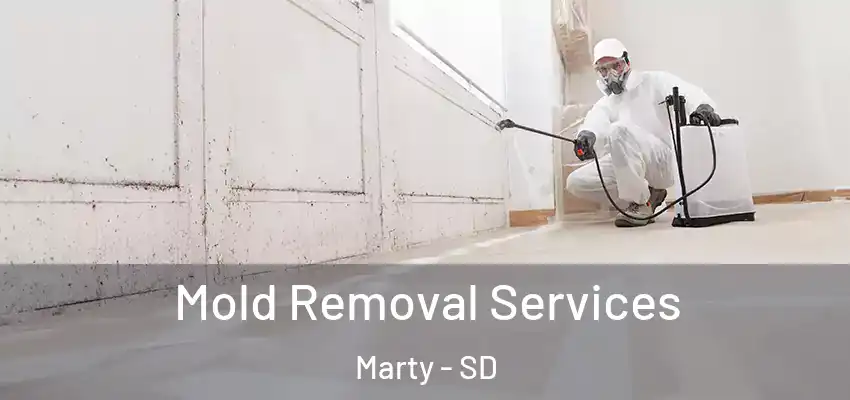 Mold Removal Services Marty - SD