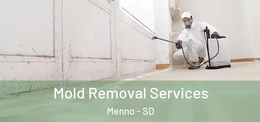 Mold Removal Services Menno - SD