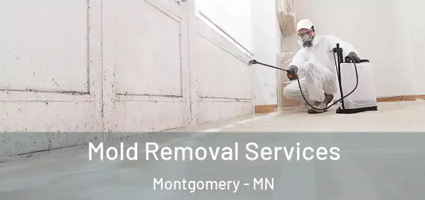 Mold Removal Services Montgomery - MN