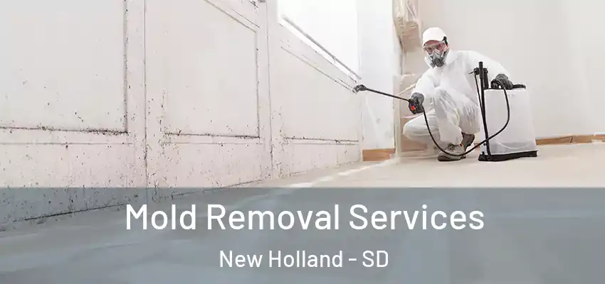 Mold Removal Services New Holland - SD