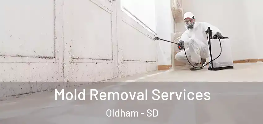  Mold Removal Services Oldham - SD