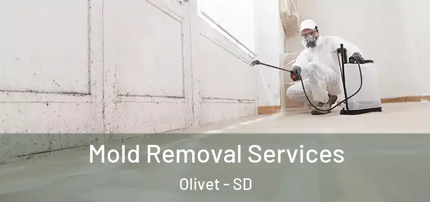 Mold Removal Services Olivet - SD