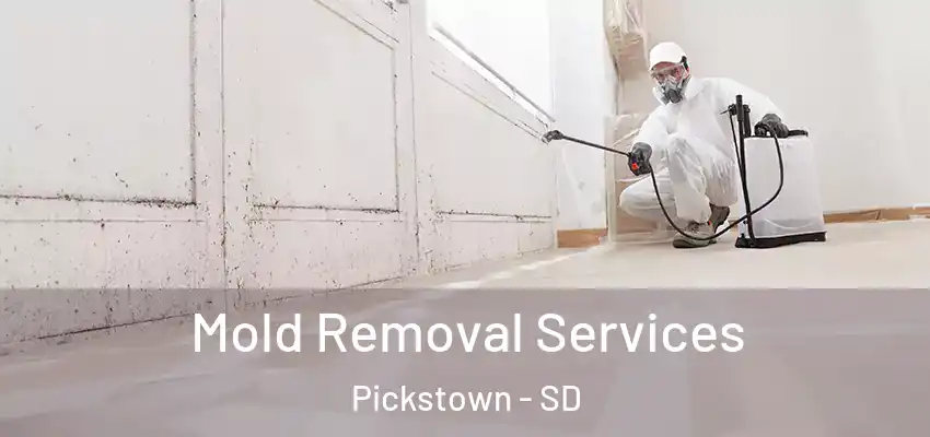 Mold Removal Services Pickstown - SD