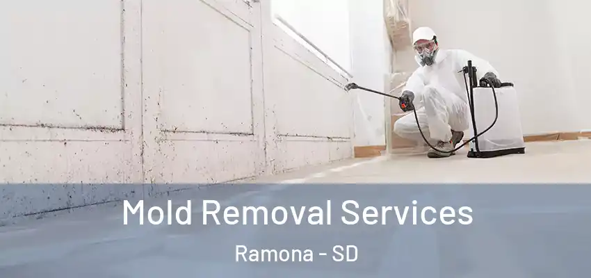  Mold Removal Services Ramona - SD