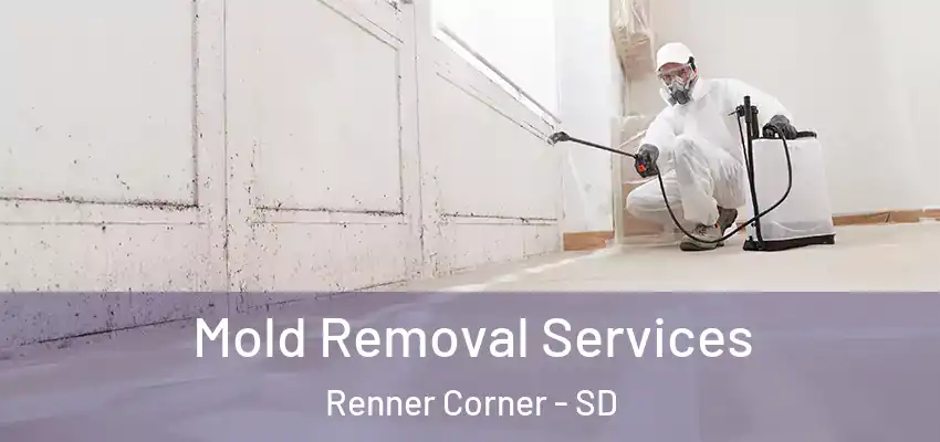 Mold Removal Services Renner Corner - SD