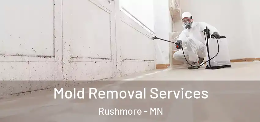 Mold Removal Services Rushmore - MN