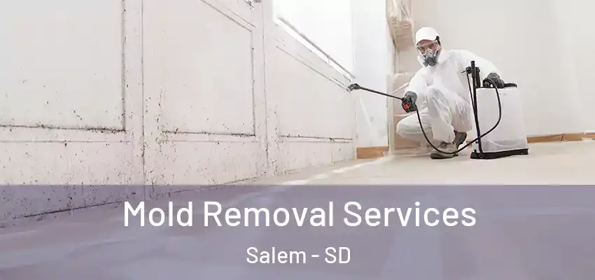 Mold Removal Services Salem - SD