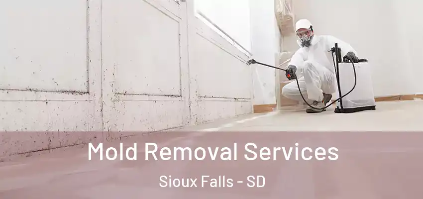  Mold Removal Services Sioux Falls - SD