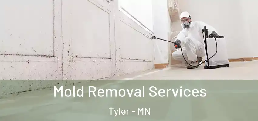 Mold Removal Services Tyler - MN