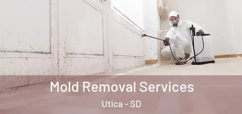  Mold Removal Services Utica - SD