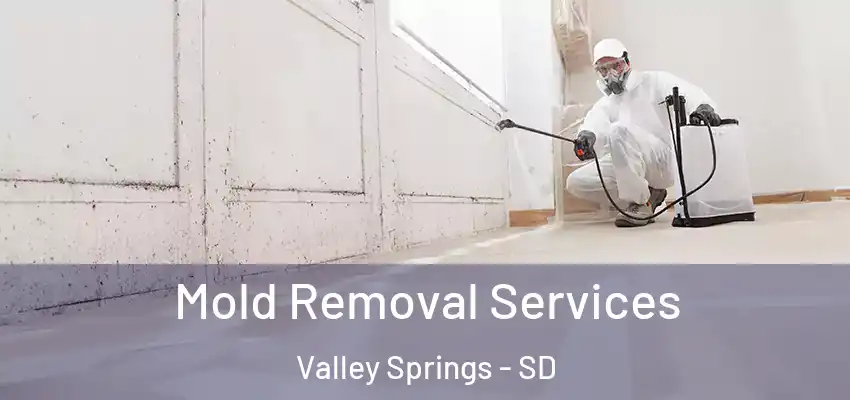  Mold Removal Services Valley Springs - SD