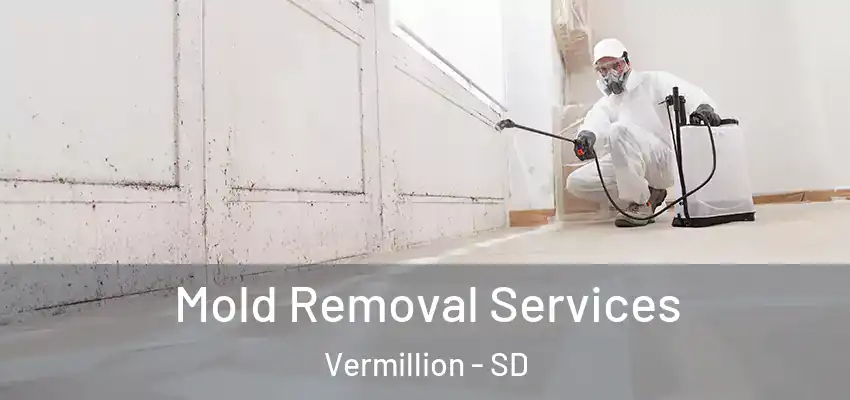  Mold Removal Services Vermillion - SD