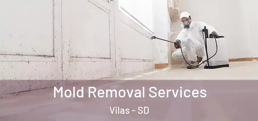  Mold Removal Services Vilas - SD