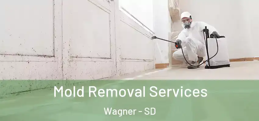  Mold Removal Services Wagner - SD