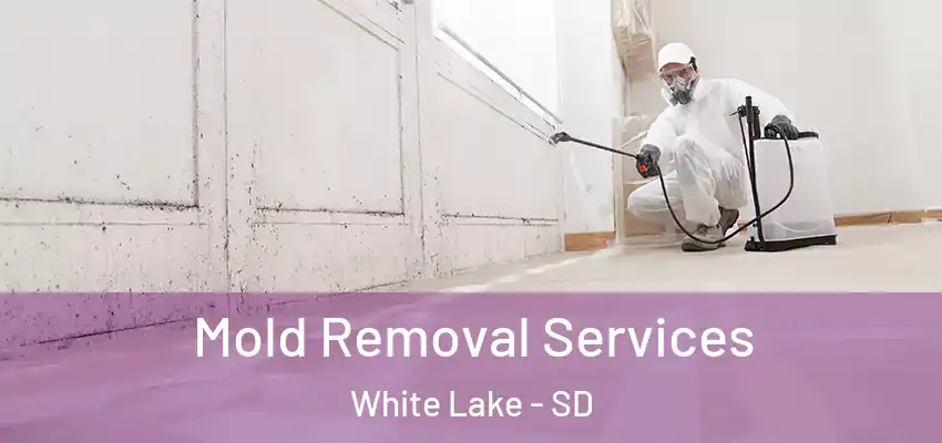  Mold Removal Services White Lake - SD