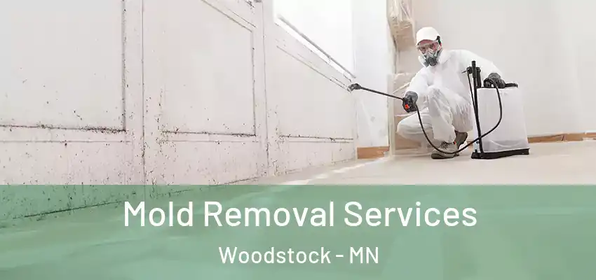 Mold Removal Services Woodstock - MN