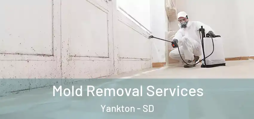  Mold Removal Services Yankton - SD