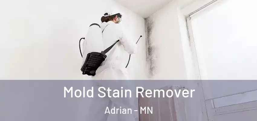  Mold Stain Remover Adrian - MN
