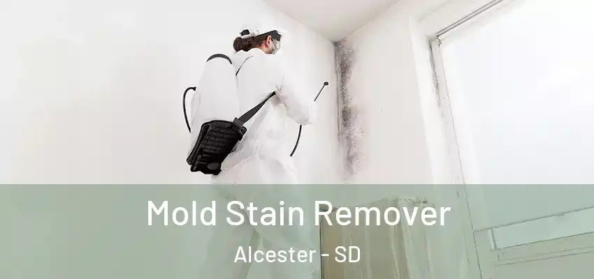  Mold Stain Remover Alcester - SD