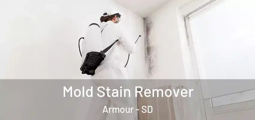  Mold Stain Remover Armour - SD