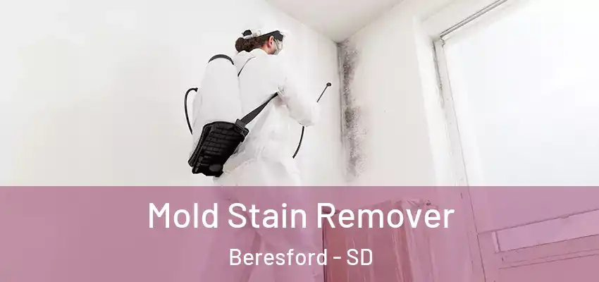  Mold Stain Remover Beresford - SD