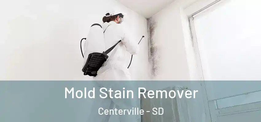  Mold Stain Remover Centerville - SD
