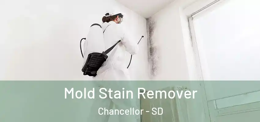 Mold Stain Remover Chancellor - SD