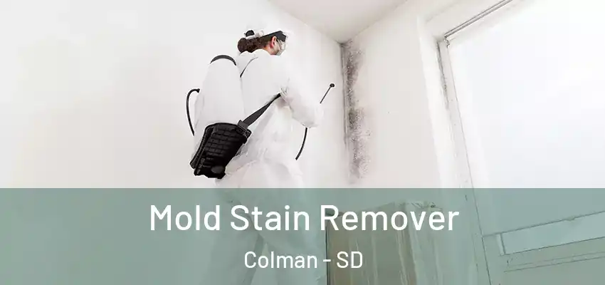 Mold Stain Remover Colman - SD