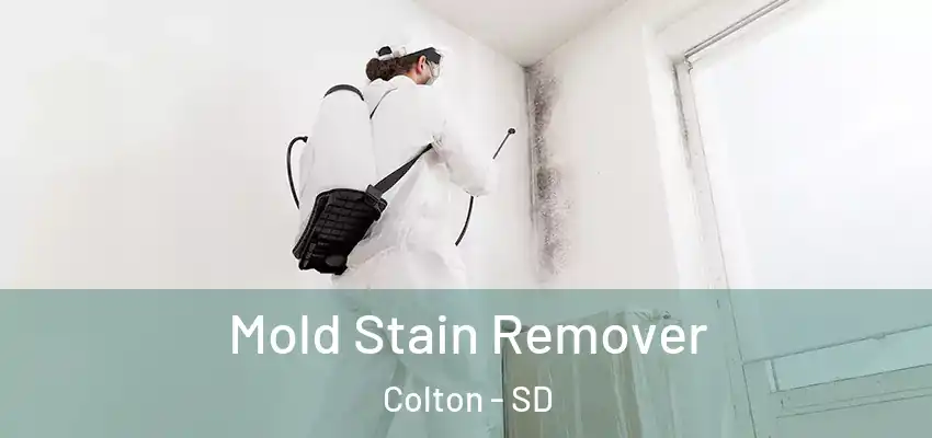 Mold Stain Remover Colton - SD