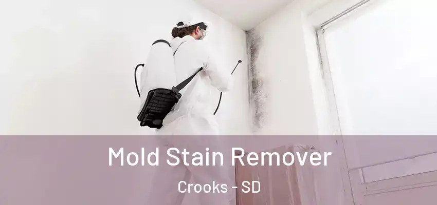 Mold Stain Remover Crooks - SD