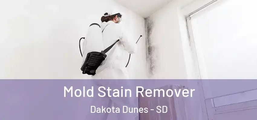 Mold Stain Remover Dakota Dunes - SD
