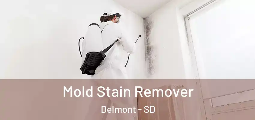 Mold Stain Remover Delmont - SD