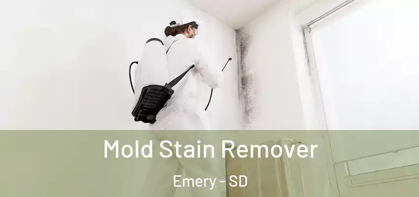Mold Stain Remover Emery - SD