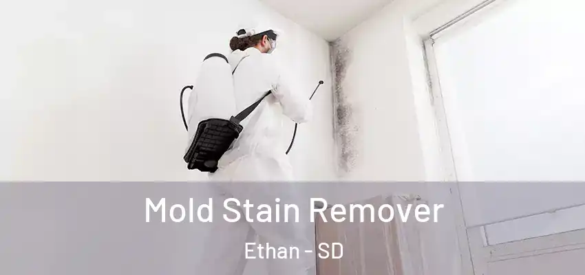  Mold Stain Remover Ethan - SD