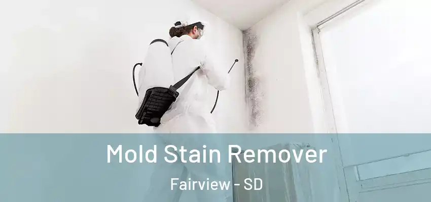  Mold Stain Remover Fairview - SD