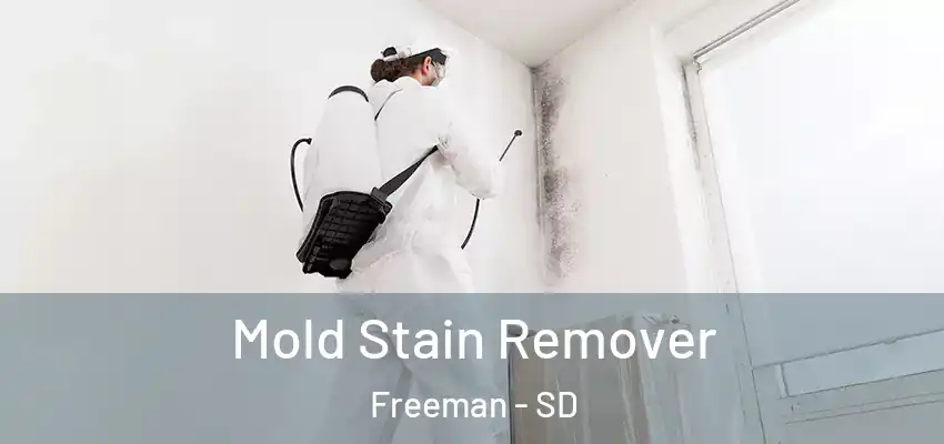  Mold Stain Remover Freeman - SD