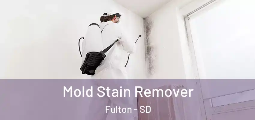  Mold Stain Remover Fulton - SD