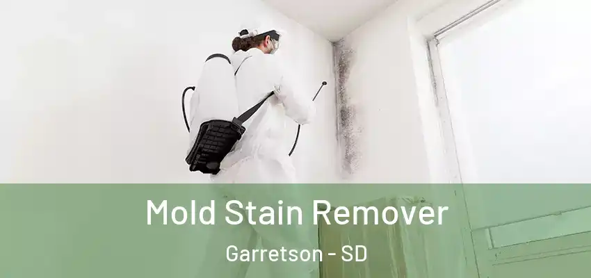 Mold Stain Remover Garretson - SD