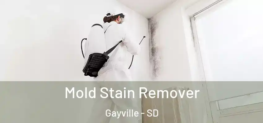 Mold Stain Remover Gayville - SD