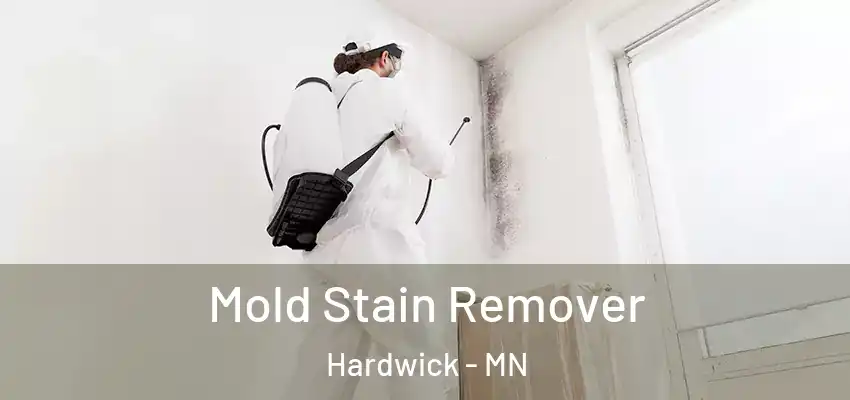 Mold Stain Remover Hardwick - MN