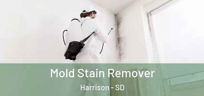 Mold Stain Remover Harrison - SD