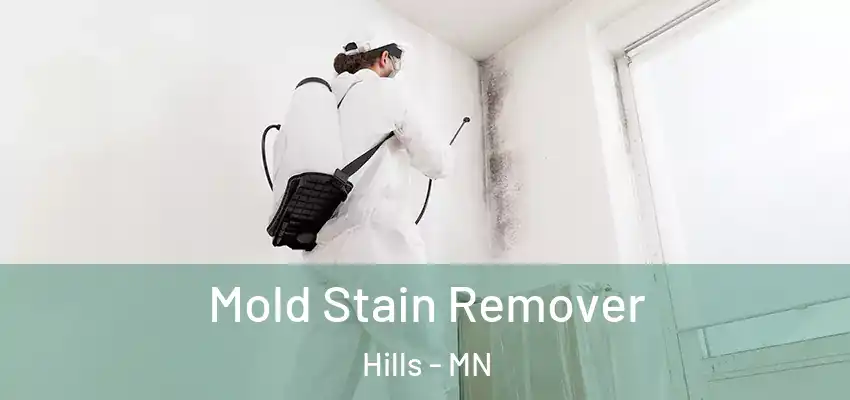  Mold Stain Remover Hills - MN