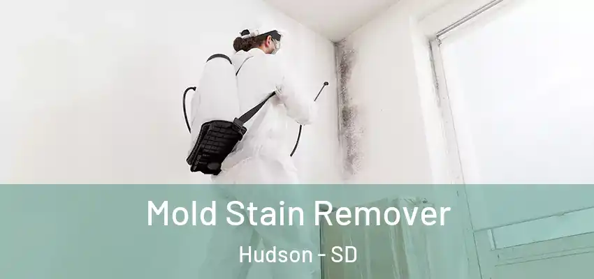 Mold Stain Remover Hudson - SD