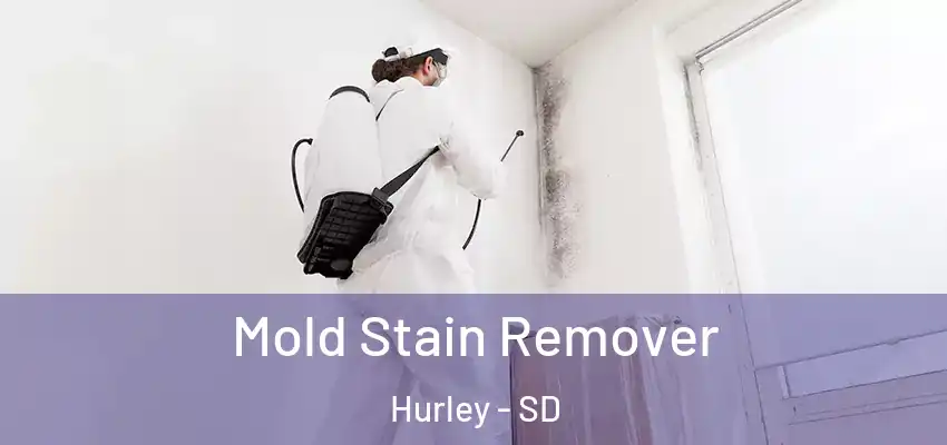 Mold Stain Remover Hurley - SD