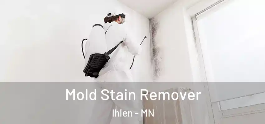  Mold Stain Remover Ihlen - MN
