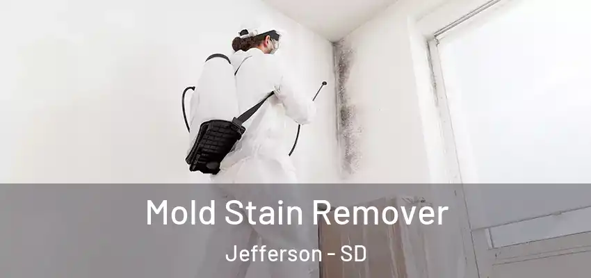 Mold Stain Remover Jefferson - SD